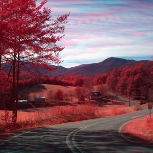 Meet your Posher, Amara